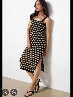 Evereve Anastasia Crochet Dress with Black And Beige Motif